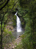 Nihotupu Dam walk2