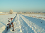 Chemin du travail ce matin... (Evere, champs derrière l'OTAN)