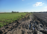 Mon chemin du travail. Slurp.