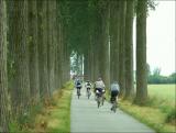Rando cycliste en Flandre.