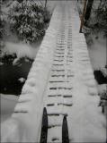 Nordic ski.