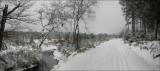 Hautes-Fagnes et ski de fond.