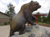  He is a Big Bear !!!
