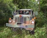 Duece and a half truck in woods.