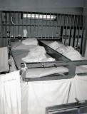 Bunks in large cell blocks