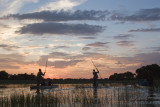 botswana, Okavango Delta 2005