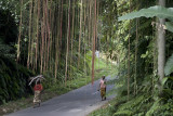 ubud, Bali