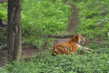 Periyar, Kerala. nature reserve
