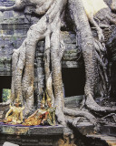 performers at Angkor Wat