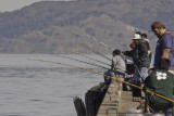 san francisco, chrissy field pier