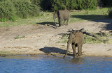 Etosha game park