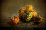 Gourds.