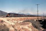 Southern Pacific On The Cutoff
