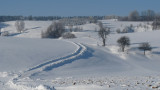 WINTER IN POBONDZIE