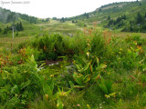 Chaîne de Belledonne