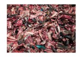 Buffaloes heads, hooves, horns, jaw bones in abattoir, Dharavi, Mumbai