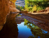 White Canyon, Early Fall