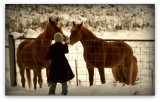 Sue Feeds Horses