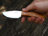 Sweetgum in Hand.jpg