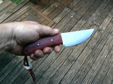 Bloodwood Skinner in Hand.jpg