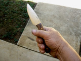 Walnut Knife in Hand.jpg