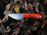 Padauk Skinner.jpg
