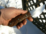 Walnut in Hand.jpg