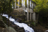 Mill Ruins 7592.jpg