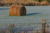 Round Bale and Fence 9389