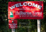 Haliburton10-7173.jpg