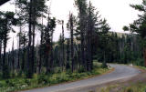 Mt Spokane, Washington 2005