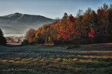 Frosty Morning