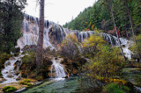 Pearl Shoal Waterfall