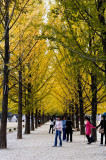 Nami Island