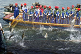 Giant Net Fishing of Carps on Qiandao Lake