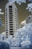 _MG_8680m.jpg