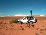 Don't stop birding in morocco - pajareo a tope en Marruecos