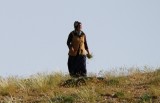 Wildlife photos from Turkey -  Birds - Butterflies and Bugs - Flowers - Landscapes