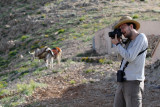 Wildlife photos from Turkey -  Birds - Butterflies and Bugs - Flowers - Landscapes
