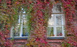Autumn window