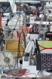 Boats at marina