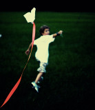 go-fly-a-kite