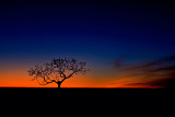 okie-sunset