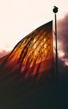 flag
