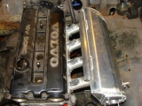 pictures 014.JPG