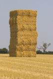 A single giant haystack !