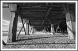 Under the boardwalk!