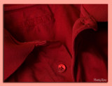 8 - Red Shirt Boogie Blues
