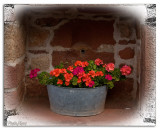 Collonges-la-Rouge 2010