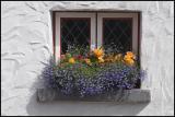 Portmagee Window Box 4